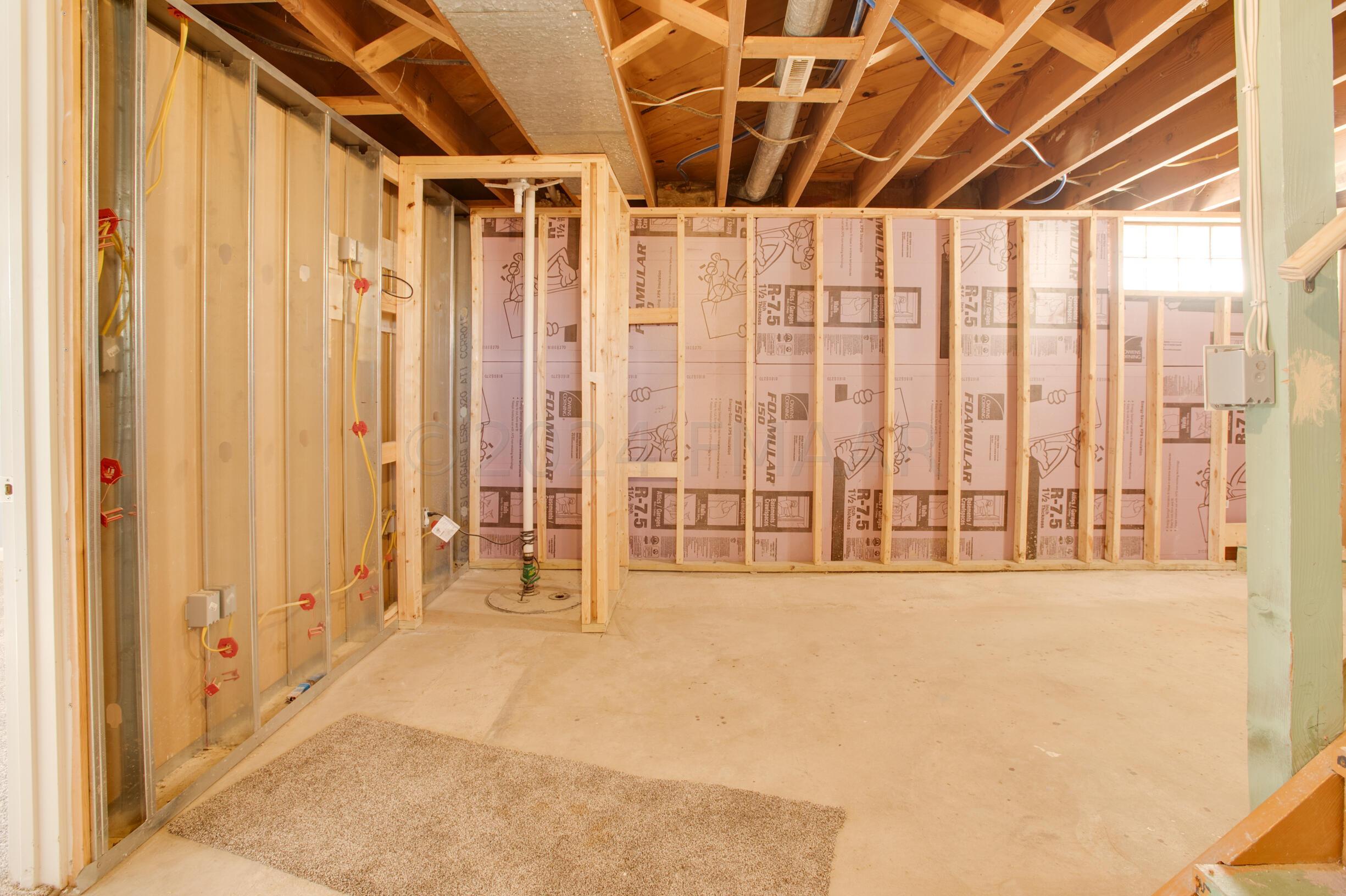 Unfinished Basement