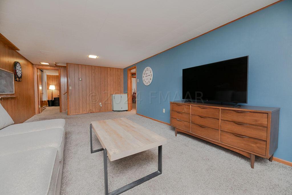 Basement Family Room