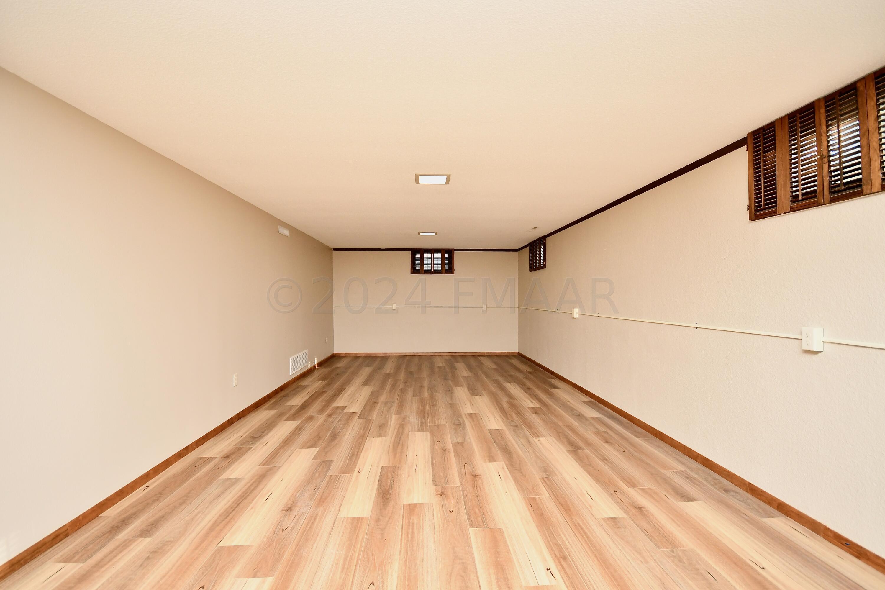 Basement Living Room