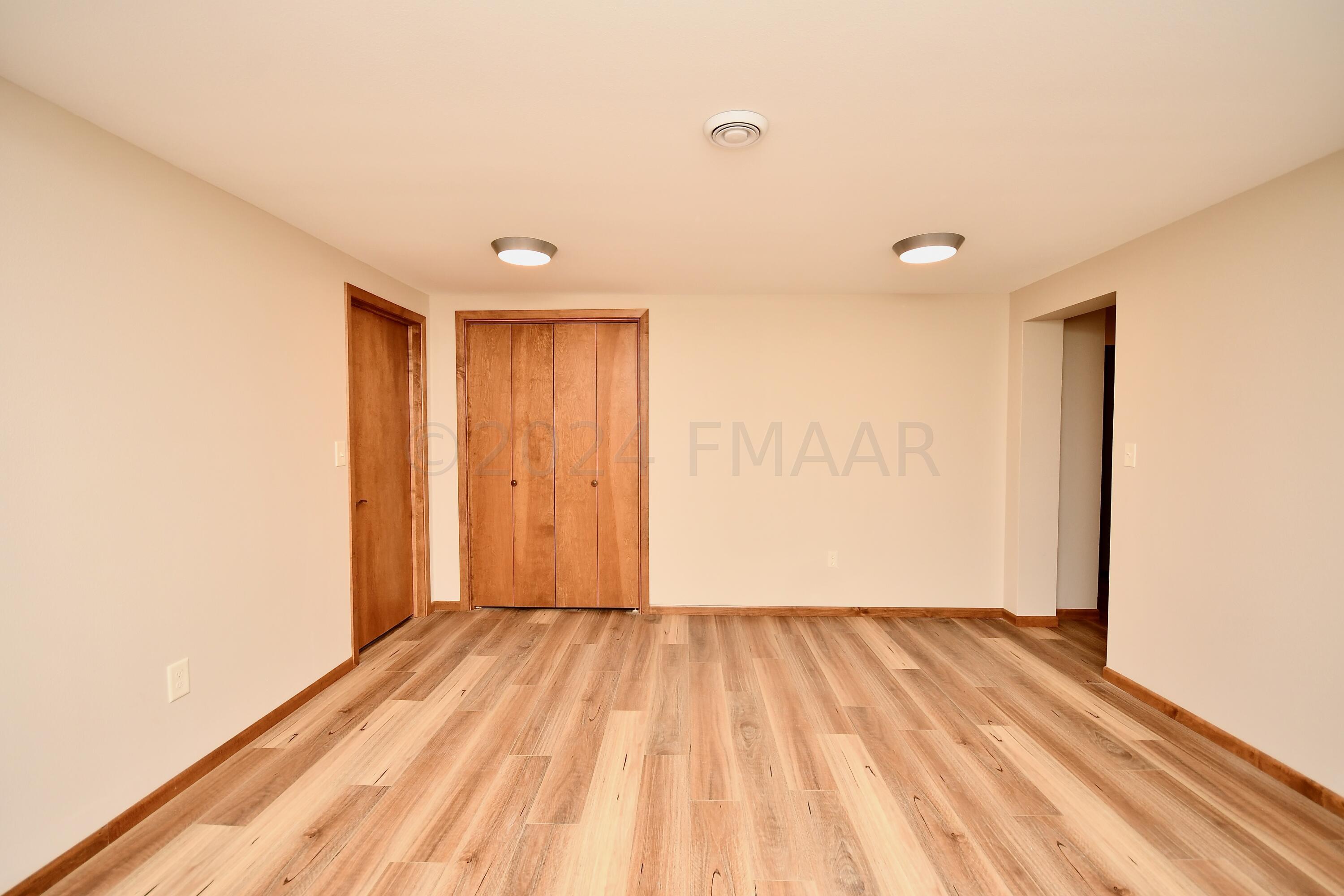 Basement Flex Room