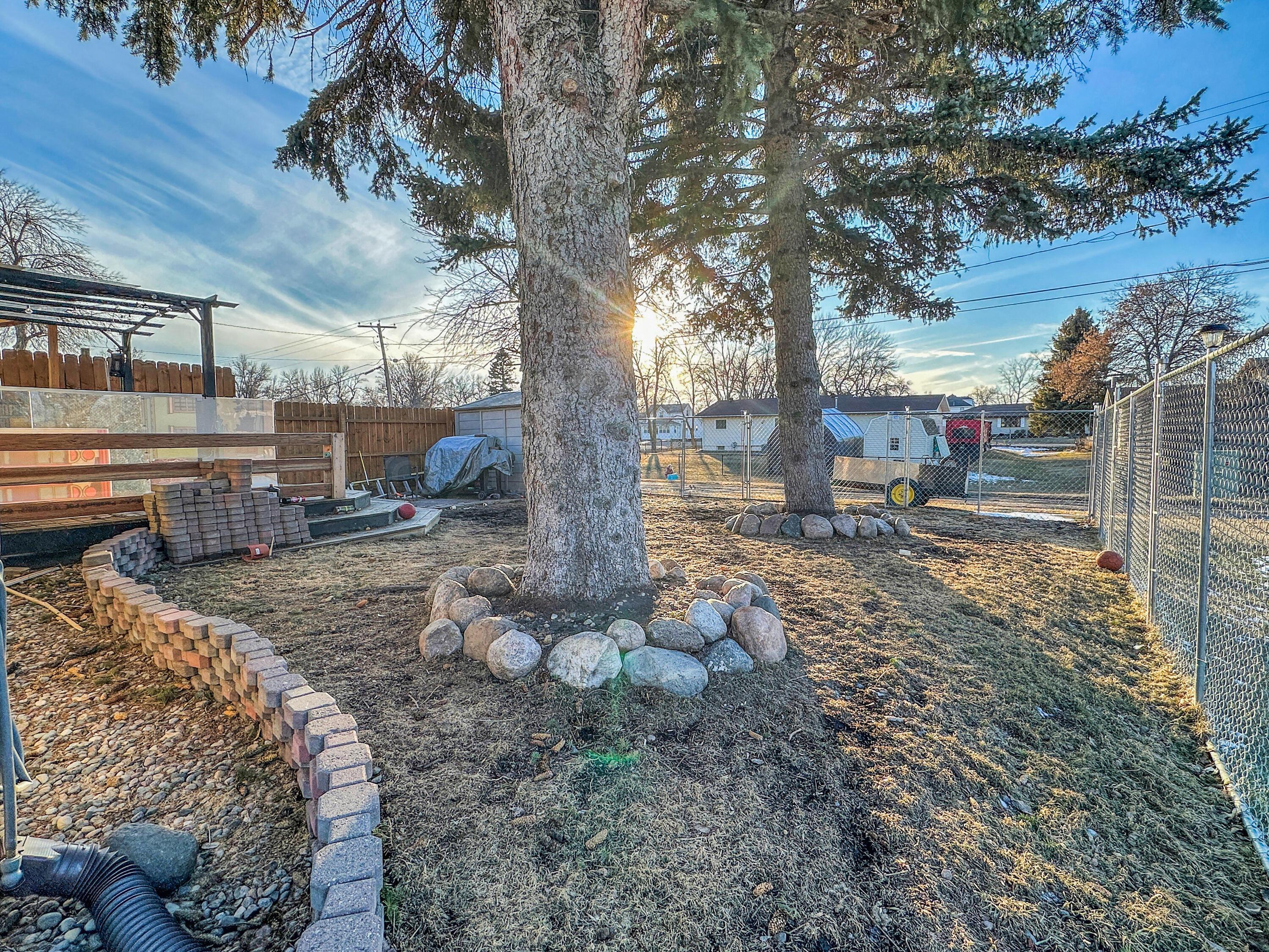 Backyard