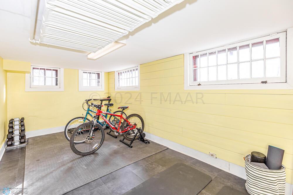 Basement Flex Room