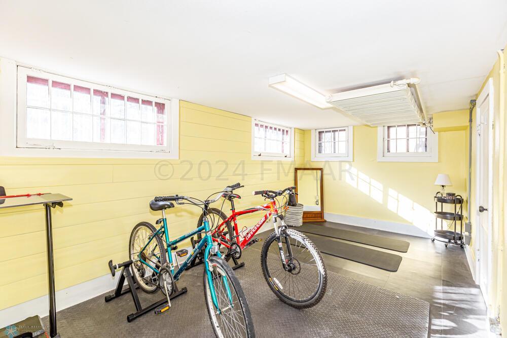 Basement Flex Room
