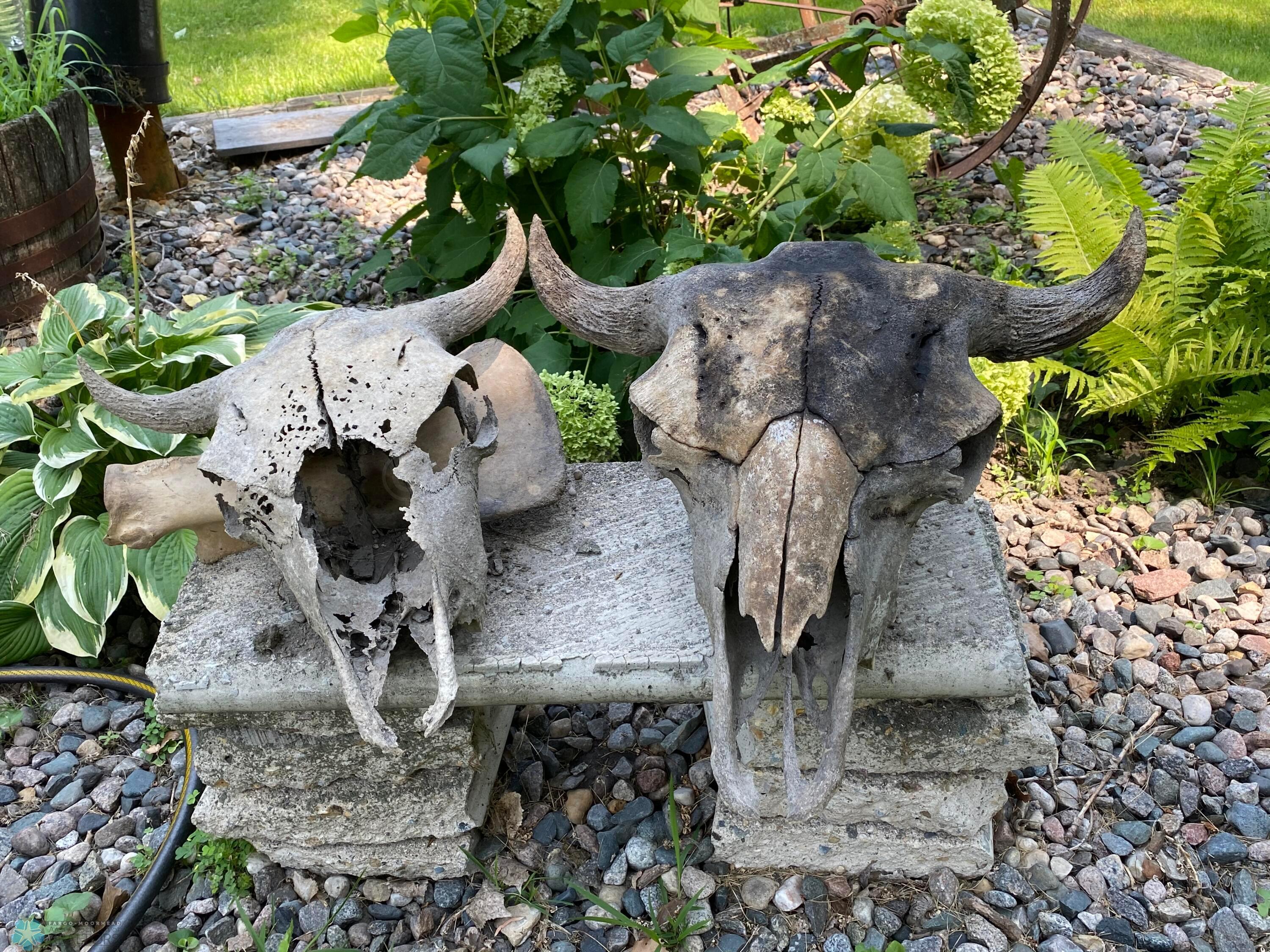Found in River