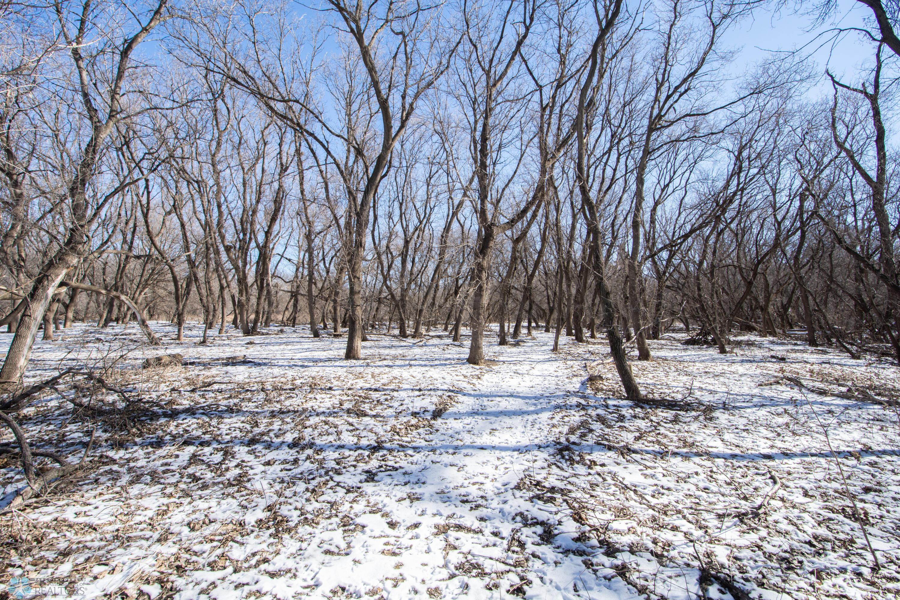 Woods