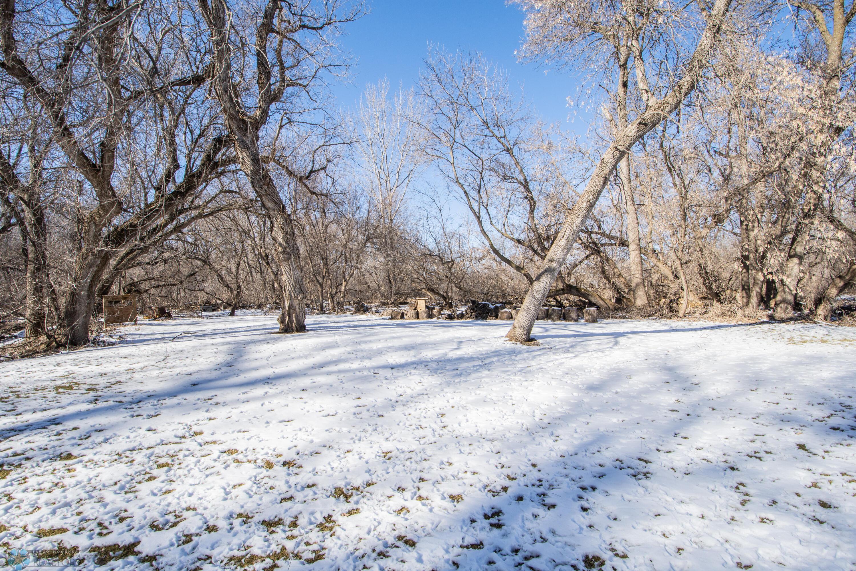 Woods
