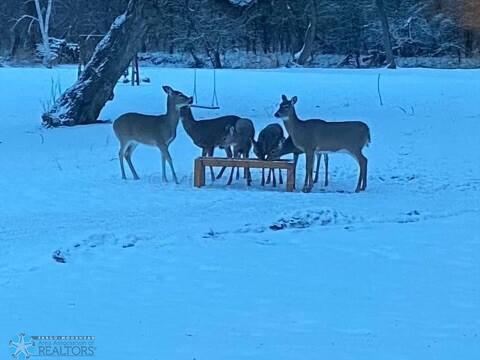 Wildlife
