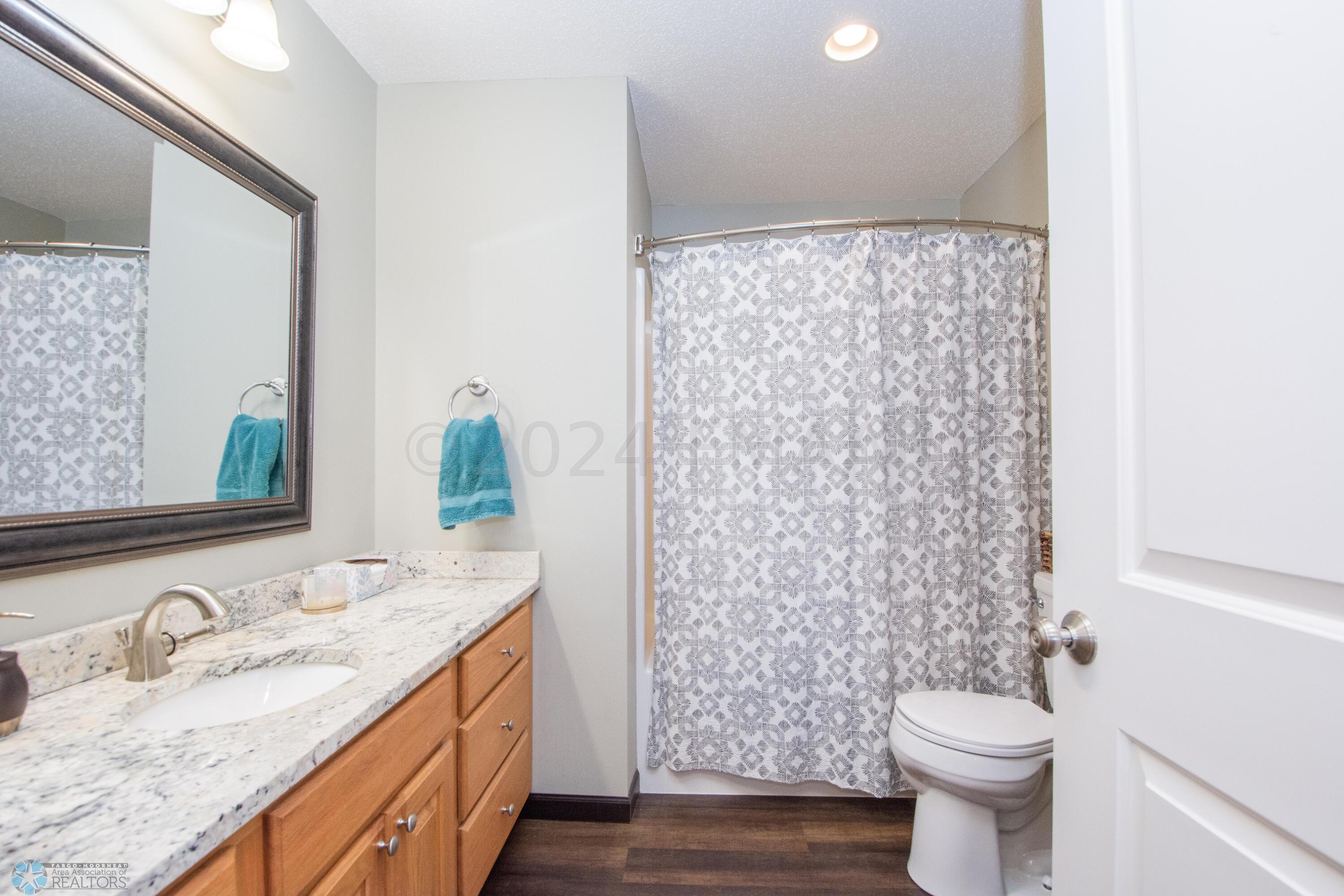 Lower Level Bathroom