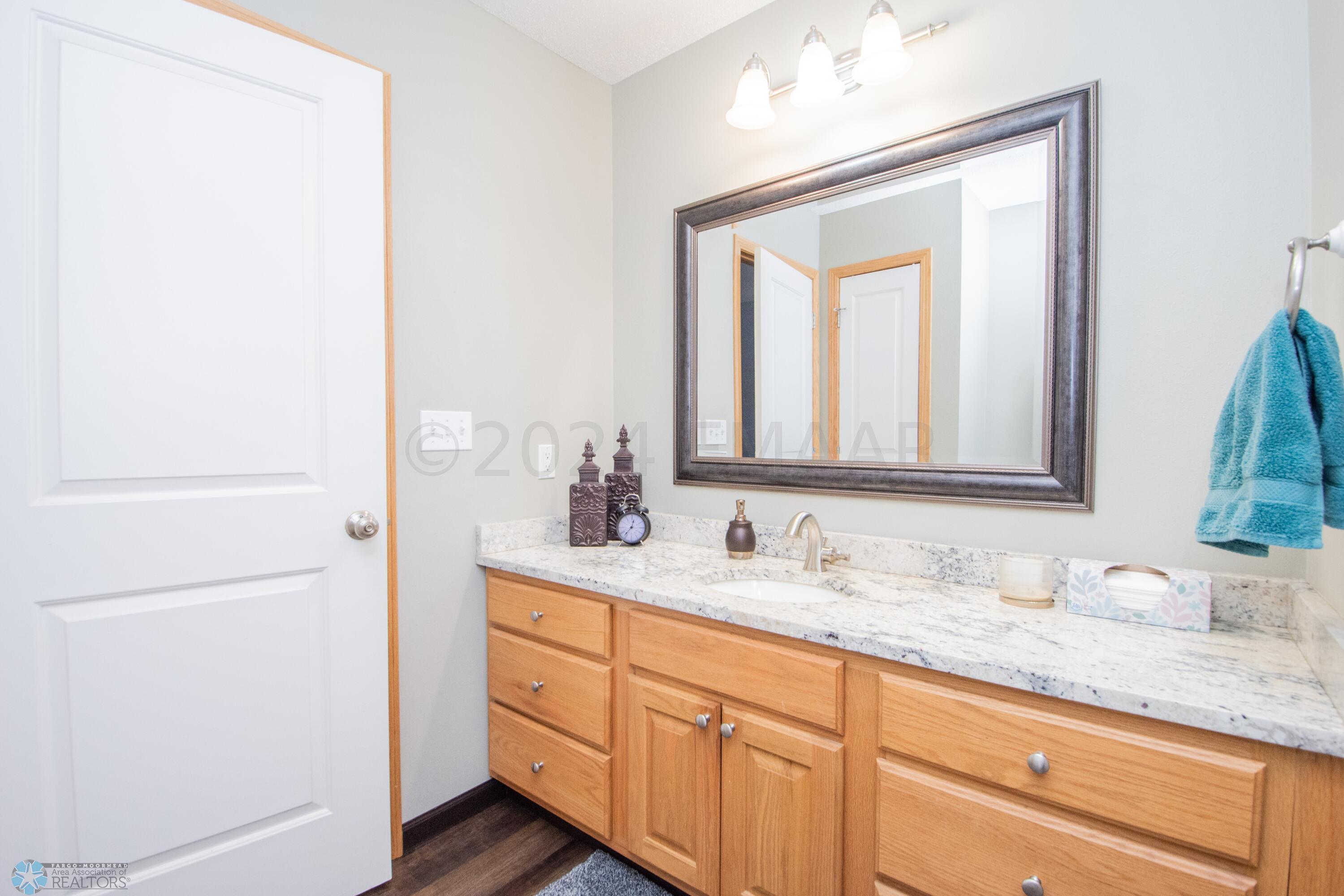 Lower Level Bathroom