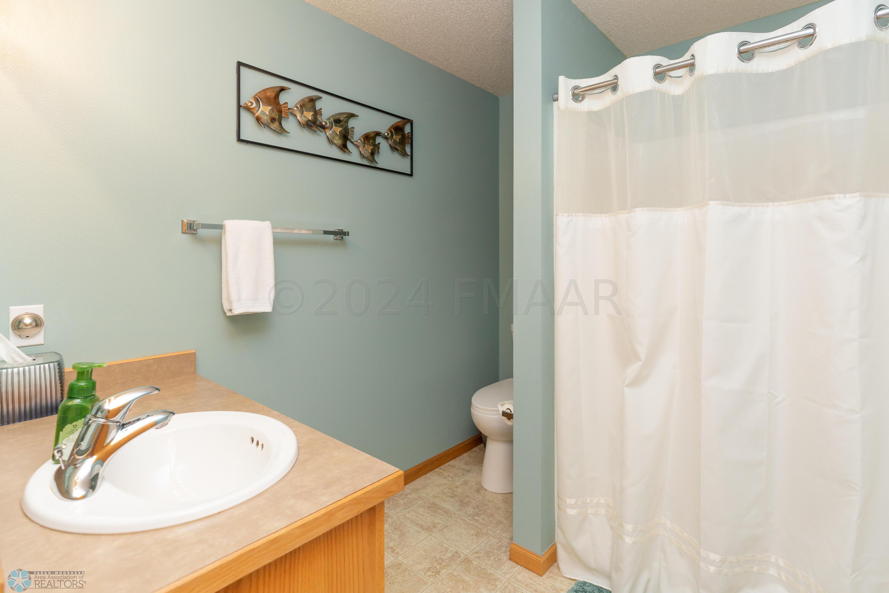 Lower Level Bathroom