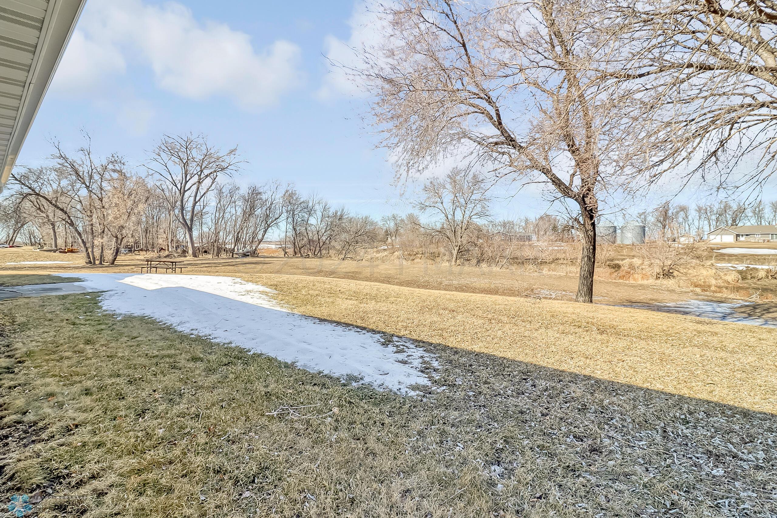 Backyard1_1