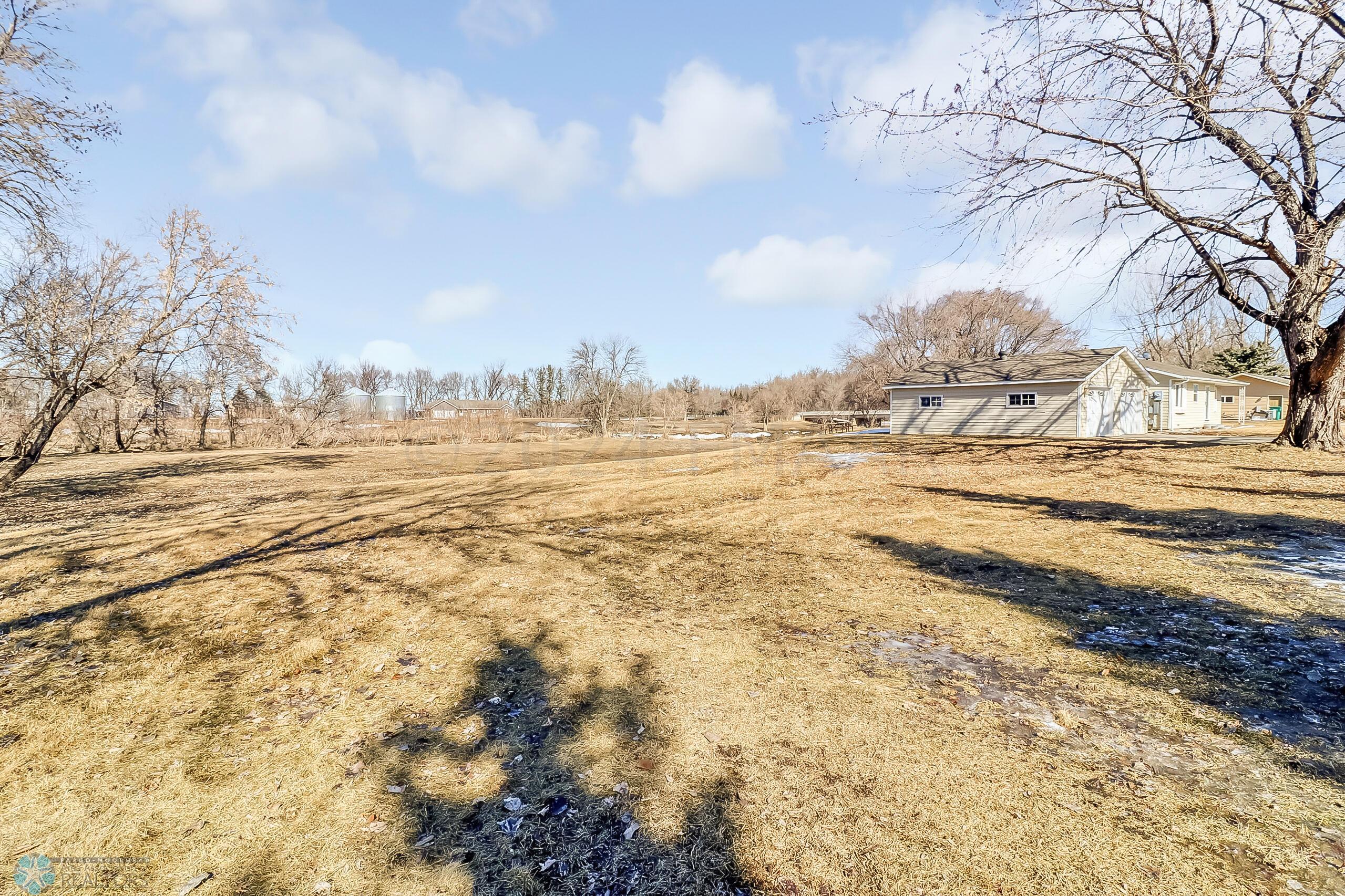 Backyard1_3
