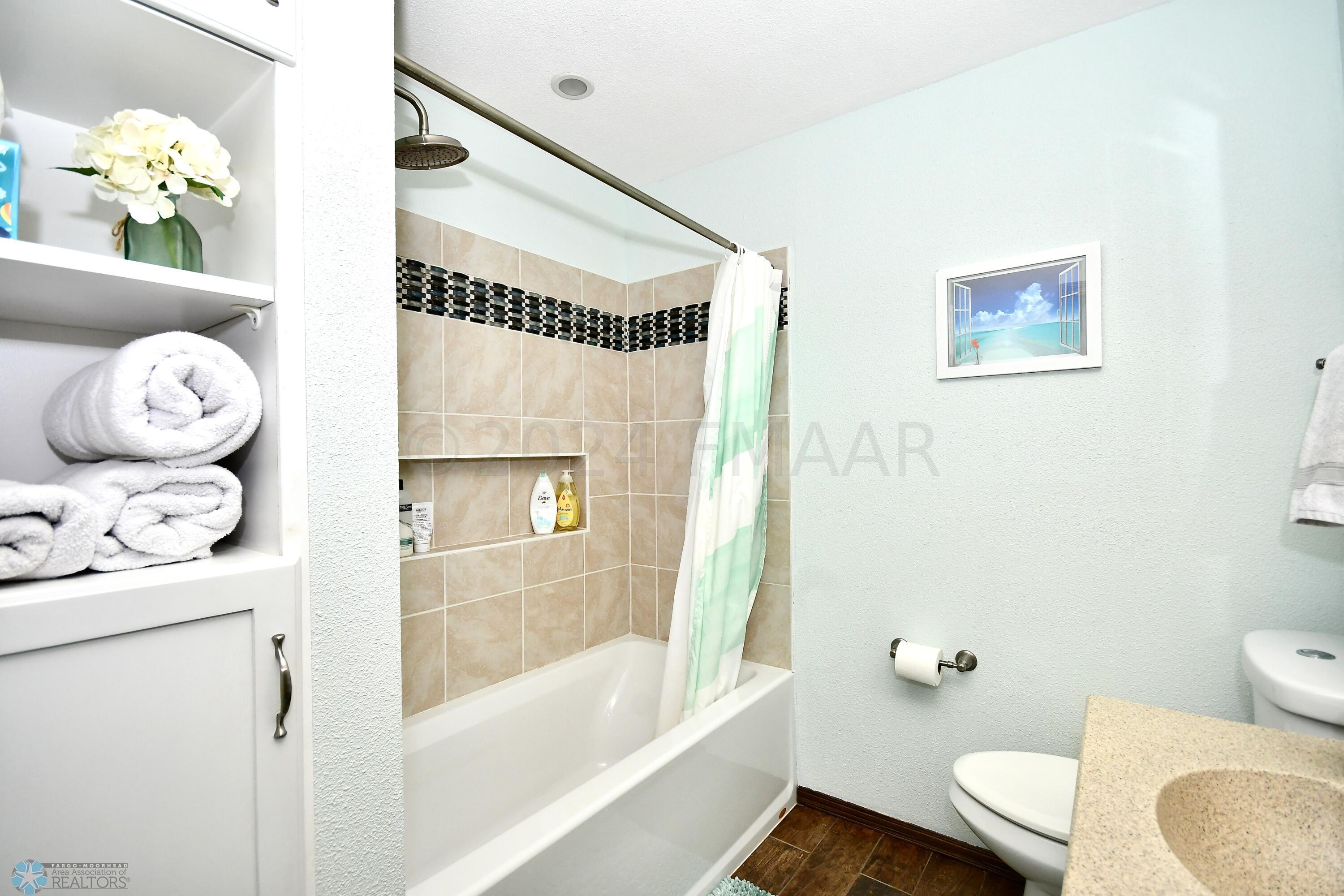 Lower Level Bathroom