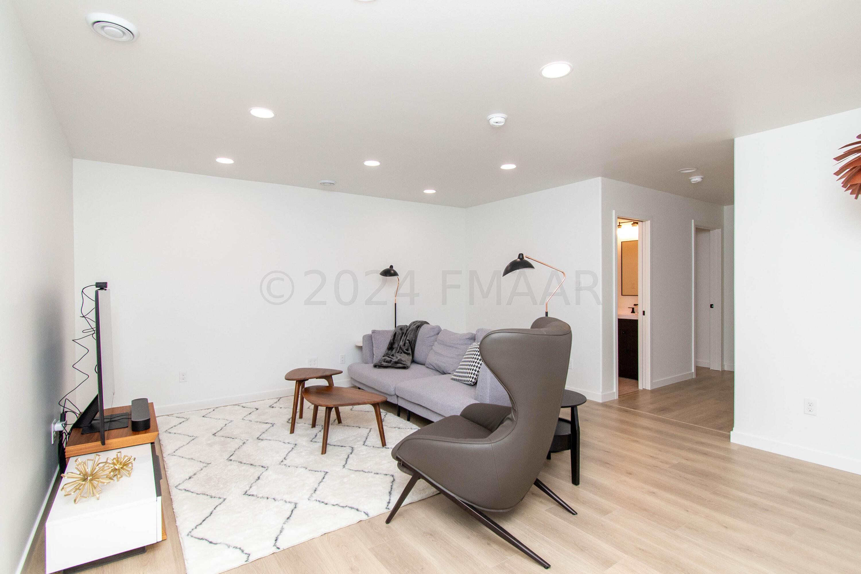 Basement Family Room