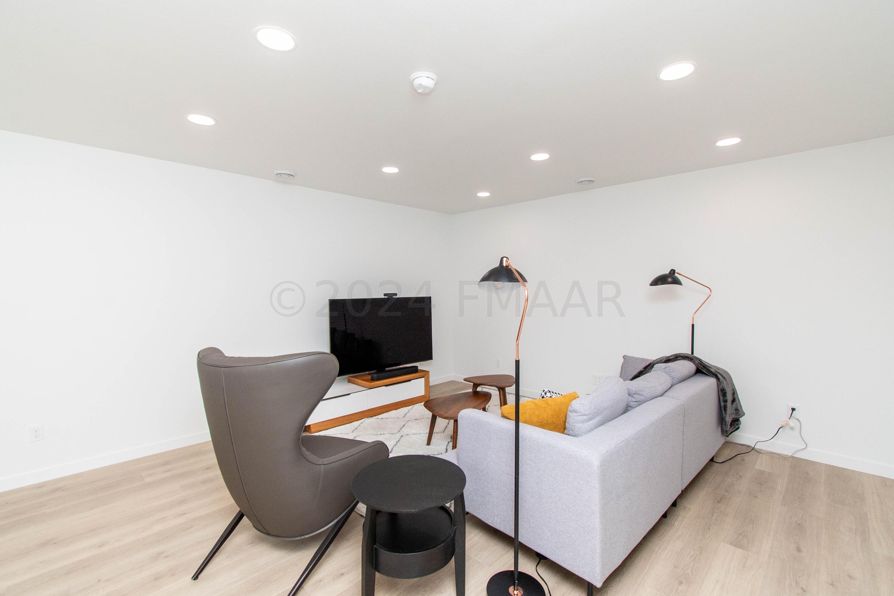 Basement Family Room