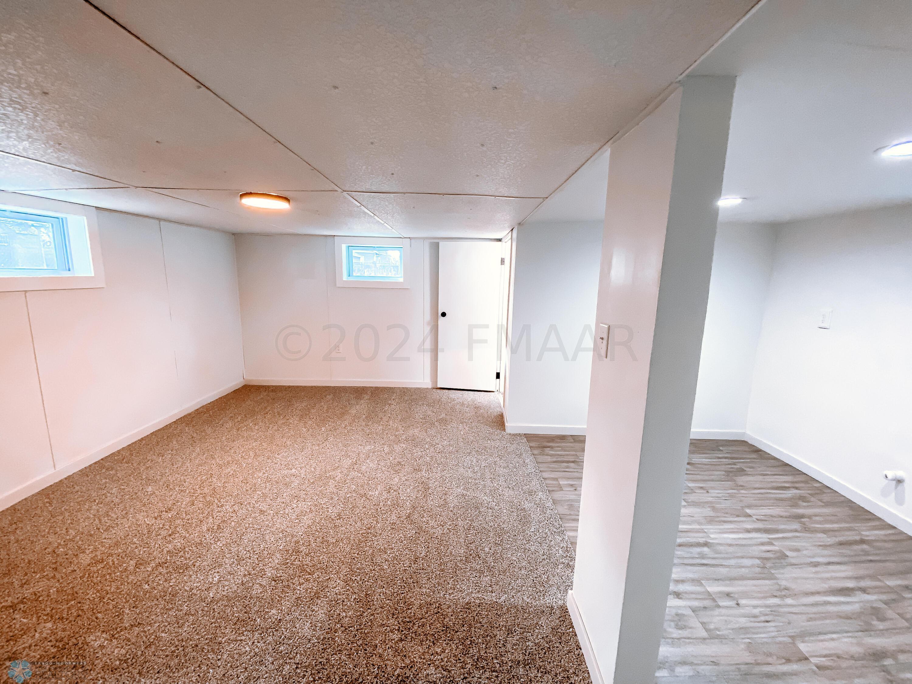 Basement Living Room