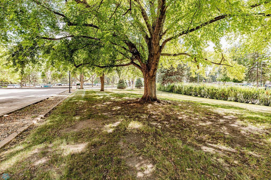 Beautiful Park